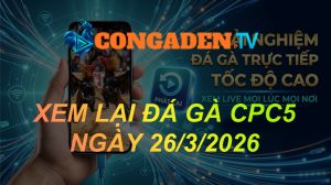 XEM LẠI ĐÁ GÀ CPC5 NGÀY 26/3/26