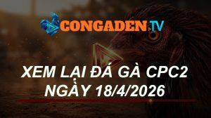 XEM LẠI ĐÁ GÀ CPC2 NGÀY 18/4/26
