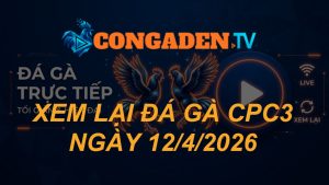XEM LẠI ĐÁ GÀ CPC3 NGÀY 12/4/26