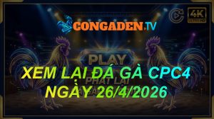 XEM LẠI CPC4 ngày 26/04/2026
