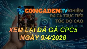 XEM LẠI ĐÁ GÀ CPC5 NGÀY 9/4/26